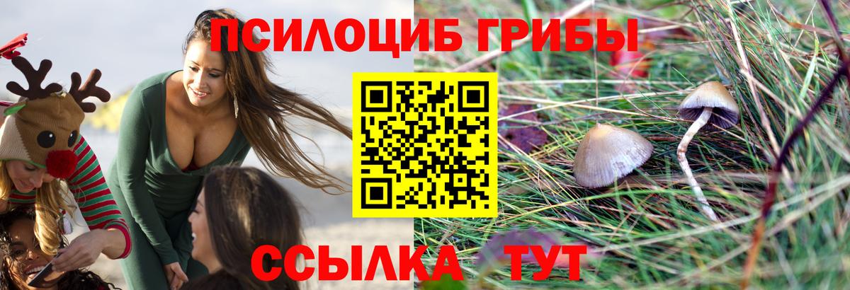 Галлюциногенные грибы ЛСД  Галлюциногенные грибы MAGIC MUSHROOMS  Усть-Кут  Вход с VPN 